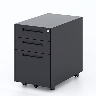 Rolling Two Drawer Vertical Filing Cabinet with Lock and Storage