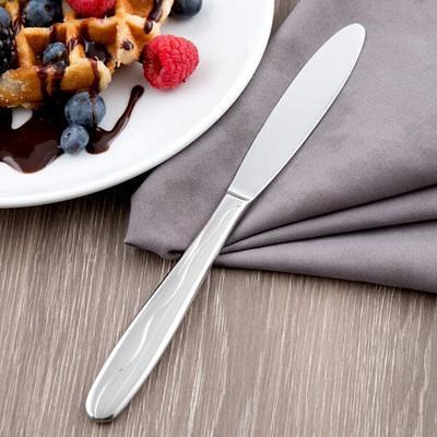 Acopa Edgeworth 9 Stainless Steel Extra Heavy Weight Dinner Knife With  Hollow Handle - 12/Case