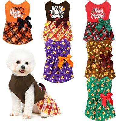 Fashionable Designer Dog Clothes: Buying New Clothes That Are