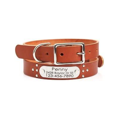 Bridle Leather Nameplate Dog Collar