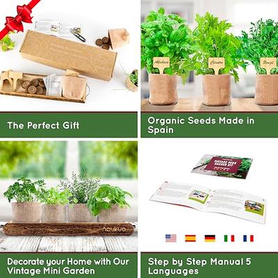 Indoor Herb Garden Starter Kit - Certified USDA Organic Non GMO