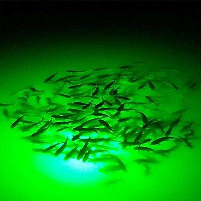 FUSIGO Deep Drop LED Underwater, Fishing Light Waterproof Blinking