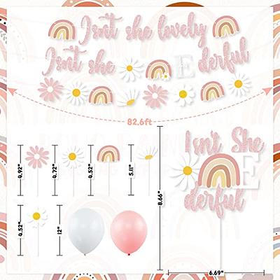 Boho Summer Daisy 1st Birthday Party Decorations, Pink Isn't She Lovely  Isn't She Onederful Daisy Rainbow Banner Cake Cupcake Toppers Balloon for  Girl Hippie One Year Old First Birthday Party Supplies 