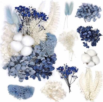 Dried Flowers, Bulk Dried Flower, 1 Set Dark Blue White Flower