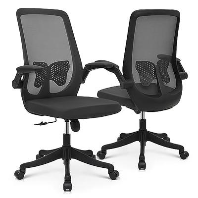  HOLLUDLE Ergonomic Office Chair with Foldable Backrest