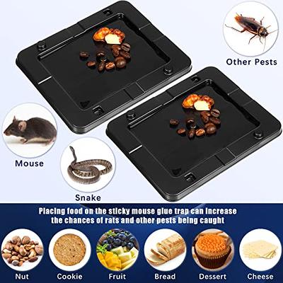 Heavy Duty Rat, Mouse, Snake & Insect Glue Trays 6 Count