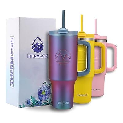 Hydrapeak Voyager 40oz Tumbler with Handle and Straw Iris