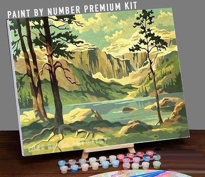 Vintage Paint by Number Kit Adult, DIY Desert Landscape Painting