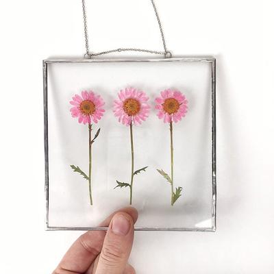 Pressed Flower Frame - Stained Glass Panel With Pressed Pink Flowers Inside  Double Floating - Yahoo Shopping