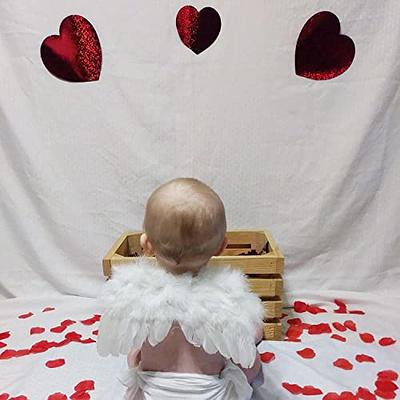 Newborn Angel Wings Photo Props –