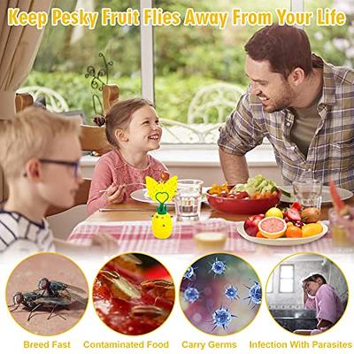 30 Pack Sticky Fruit Fly Trap and Fungus Gnat Traps Killer for Indoor and  Outdoor, Protect The Plant, Non-Toxic and Odorless 