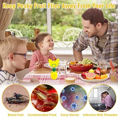  Fruit Fly Trap for Indoor- Non-Toxic Insects Bait