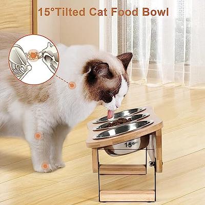 Cat Food Bowl 15° Tilted Elevated Pet Bowl Dog Feeder Water Raised Bowl  Stand