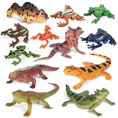 360° Bearded Dragon Toys, Bearded Dragon Enrichment Toys, Dragon Pet Toy,  Reptile Food Toys Ball, Interactive Toys for Lizard Reptile, Tank Decor  Gecko, Bearded Dragon Feeder, Chameleon Feeder. - Yahoo Shopping