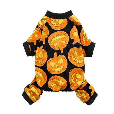 Little Pupkin Pumpkin & Dog Baby Burp Cloth