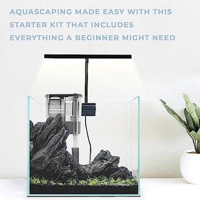 Aqua Worx Cube Aquarium Starter Kit - Small Aquarium Fish Tank Kit -  Aquarium Starter Kits with 2