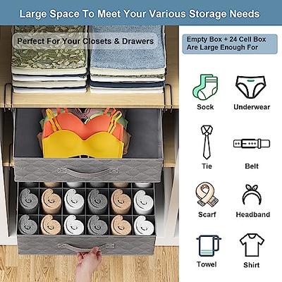 Carry360 2 Pack Sock Underwear Drawer Organizer Dividers, 24 Cell