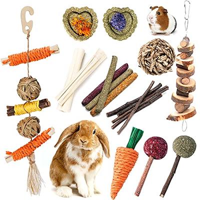 Natural Wooden Chew Toys For Rabbit Enrichment