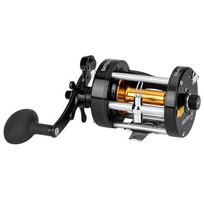 Baitcasting Reel, Baitcaster Fishing Reel, Inshore Saltwater Fishing, for  Catfish, Salmon/Steelhead, Striper Bass, Palm Perfect Design (Color 