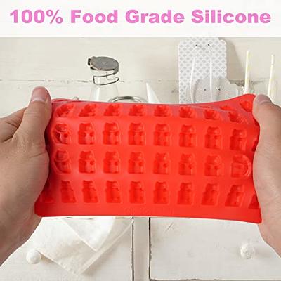 Gummy Bear Candy Molds Silicone Chocolate Gummy Molds with 2 Droppers  Nonstick Food Grade Silicone Pack