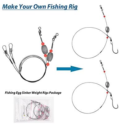 Fishing Egg Sinker Weight Rigs, Stainless Steel Fishing Wire Leaders with Sinkers  Fish Swivels and Snaps Flounder Rig Saltwater for Bottom Fishing (4pcs,  2oz) - Yahoo Shopping