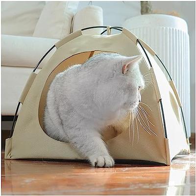 Tents Cats Play, Tent Pet Bed Cat Toy, Cat Bed Play Tent