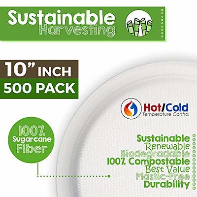 Compostable 9 Inch Paper Plates [125-Pack] Heavy-Duty Plate by Eccoss