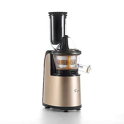 Omega MM900HDS Slow Masticating Celery Juicer 200 Watt Silver