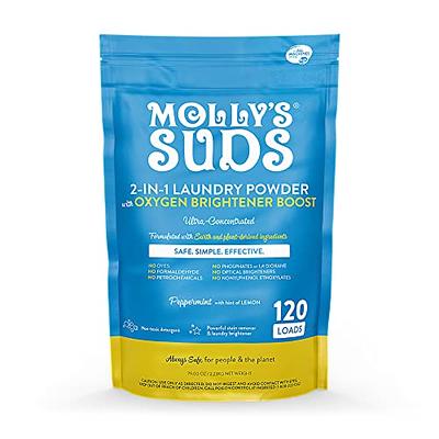 Molly's Suds Natural Laundry Stain Remover Spray | Gentle Yet Powerful,  Great for Baby & Pet Stains | Earth Derived Ingredients | 16 oz, 2 Pack