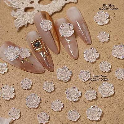 BAIYIYI Mixed 3D Flower Nail Charms and Metal Caviar Beads Acrylic Resin  Flowers Nail Design Gold Silver Nail Ball Beads for DIY Decoration Nail Craft  Accessories With Pickup Pencil 6 Colors/Flower +