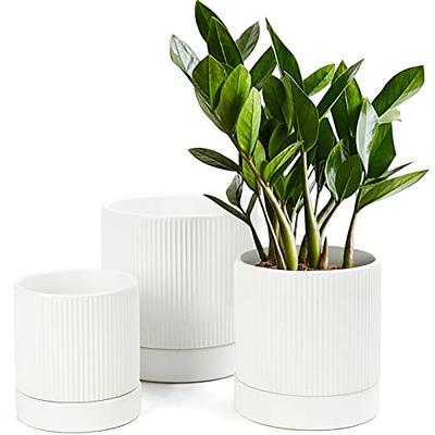 7 Inch Plant Pots, 6 Pack Flower Pots Indoor Outdoor, Decorative Planters  with Drainage Hole and Tray Saucer - Yahoo Shopping