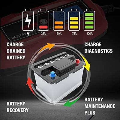 YONHAN Battery Charger 10-Amp 12V and 24V Fully-Automatic Smart Car Battery  Charger, Battery Maintainer Trickle Charger, and Battery Desulfator with