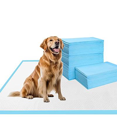 Puppy Pee Pads 23.6''X35.4''-20 Count | Dog Pee Training Pads Super  Absorbent & Leak-Proof | Disposable Pet Piddle And Potty Pads For Puppies |  Dogs 