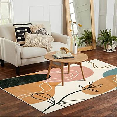 Mid Century Modern Area Rug 2x3 - Small Machine Washable Rug Boho Abstract  Non-Slip Soft Doormat Entryway Indoor Floor Carpet for Living Room Bedroom