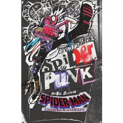 Spider-Man: Across the Spider-Verse / Spider-Man: Into the Spider-Verse -  Multi-Feature (2 Disc) - DVD + Digital