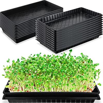 5 Pack Durable Black Plastic Growing Trays (no Drain Holes) 21 X