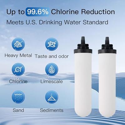 FACHIOO 2.25G Gravity Water Filter System, 304 Stainless Steel