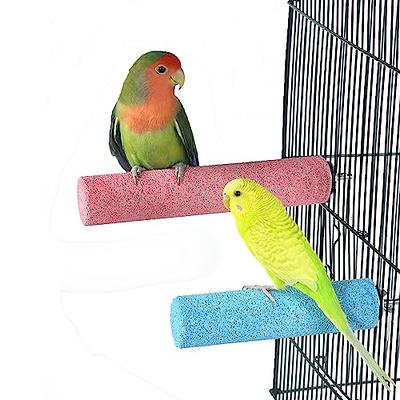 Bird Wooden Perch Stand, Bird Feeder Toy, Natural Wooden Bird Cage  Accessories, Paw Grinding Standing Perch with Rough Quartz Sand Surface for  Parrot, Parakeet, Budgies, Cockatiel, Rats(Green) - Yahoo Shopping