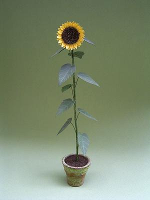 Dollhouse Sunflowers Plant in Ceramic Planter Pot 1:12 Scale