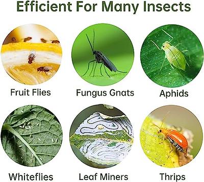 Flying Insect Trap, Insect Catcher, Indoor Fly Trap, Safer Home, Fruit Fly Traps for Indoors, Gnat Killer Indoor, Bug Killer, Insect Killer with