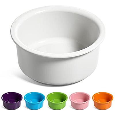 LE TAUCI 8 Inch Slow Feeder Ceramic Dog Bowl for Medium Breed, Maze,  Purple, 1.5 Cups 