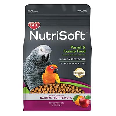 Kaytee Forti-Diet Pro Health Honey Pet Bird Treat Sticks For Parakeets, 2  Bars, 7 Ounce