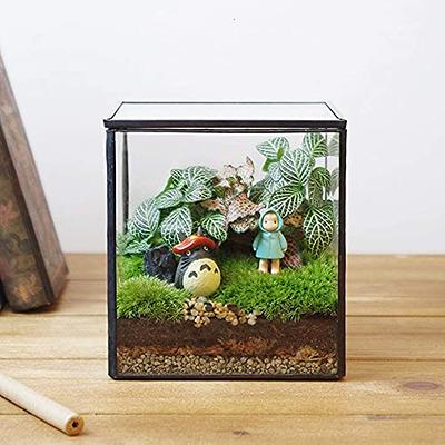 Square Moss Tabletop and Wall Decor