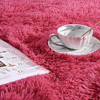 Softlife Grey 4x5.3 Feet Area Rug for Living Room Bedroom Super Soft Shaggy  Rugs for Boys Girls Kids Room Fluffy Fuzzy Carpets Long Plush Bedside Rug