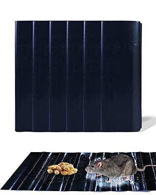 12 Pack Large Super Sticky Rat Glue Traps, Mouse Glue Traps, Mouse Sticky  Trap, Mice Traps, Snake Traps, Rat Snake Sticky Traps for Home Outdoor  Indoor Restaurant Office (26 x 11) 