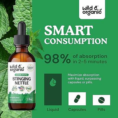 Stinging Nettle Leaf Extract | 2 fl oz | Alcohol Free Liquid | Vegetarian,  Non-GMO, Gluten Free Tincture | by Horbaach