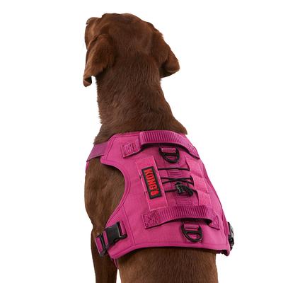 Kong Chew Resistant Dog Collar, Size: XL | PetSmart