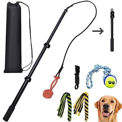 SCHITEC Tug Toy for Dogs, Bungee Tug of War Rope Toys with Squeaky Sound  for Small Medium Large Dog, Puppy Training Pull Toy for Exercise &  Interactive Play Games - Yahoo Shopping