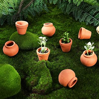 10-Pack 2-Inch Mini Terracotta Pots with Drainage Holes for Succulents,  Plants, Herbs, and Flowers, Small Clay Pot Planters for Indoor and Outdoor