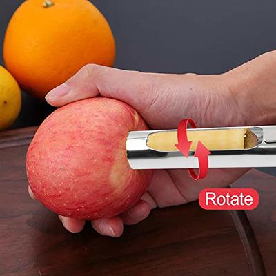 OXO Good Grips Apple, Pear, And fruit Corer - Stainless Steel